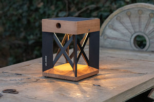 Les Jardins Soho Solar LED Table Light