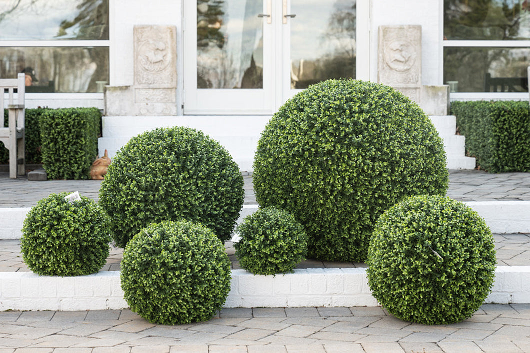 Enduraleaf Boxwood Greenery Balls