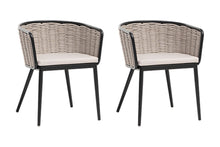 Set of 2 Ratana Diva Aluminum Outdoor Dining Arm Chair