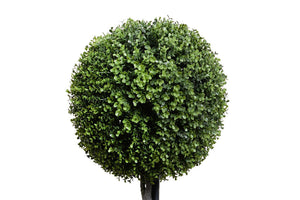 Enduraleaf Boxwood Ball Double Topiary