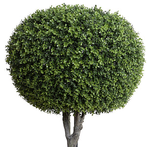 Enduraleaf 64"H Boxwood Pumpkin Topiary