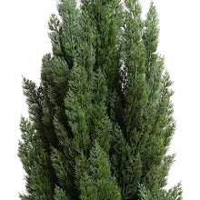 Enduraleaf 60"H Italian Cypress Tree