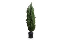 Enduraleaf 72"H Italian Cypress Tree