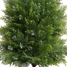 Enduraleaf 32" Arborvitae Shrub