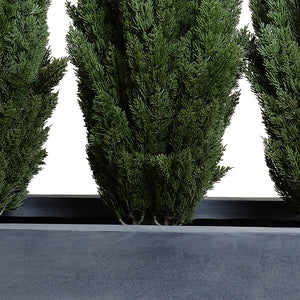 Enduraleaf Italian Cypress Set in 45"Planter
