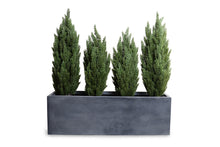 Enduraleaf Italian Cypress Set in 65" Planter