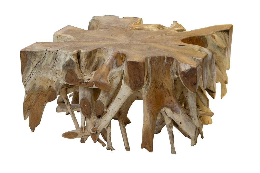 Teak Large Root Block Coffee Table