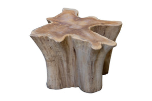 Teak Large Tree Stump Coffee Table