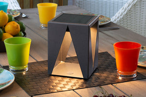 Les Jardins Teatree Solar LED Table Light