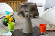 Les Jardins Enoki Solar LED Lamp